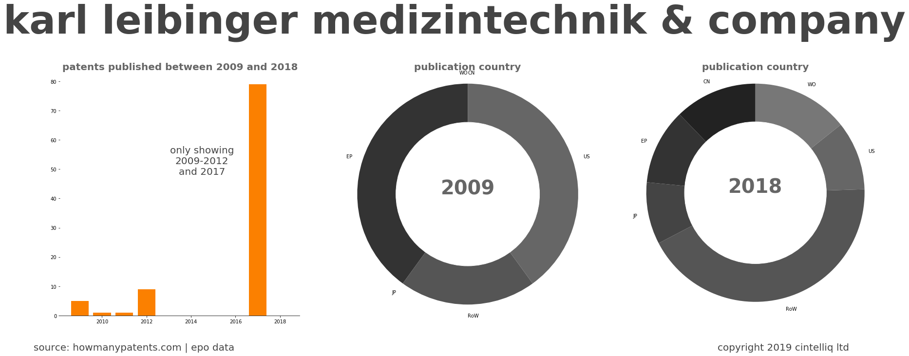 summary of patents for Karl Leibinger Medizintechnik & Company