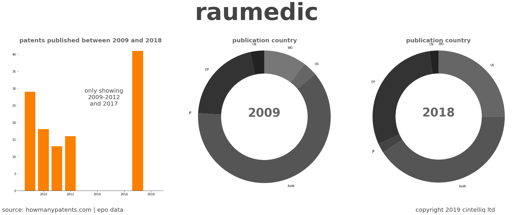 summary of patents for Raumedic